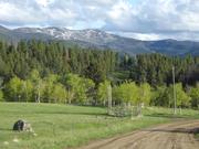 DSCF3178.JPG
