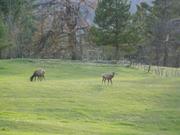 DSCF3179.JPG