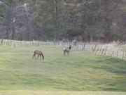 DSCF3181.JPG