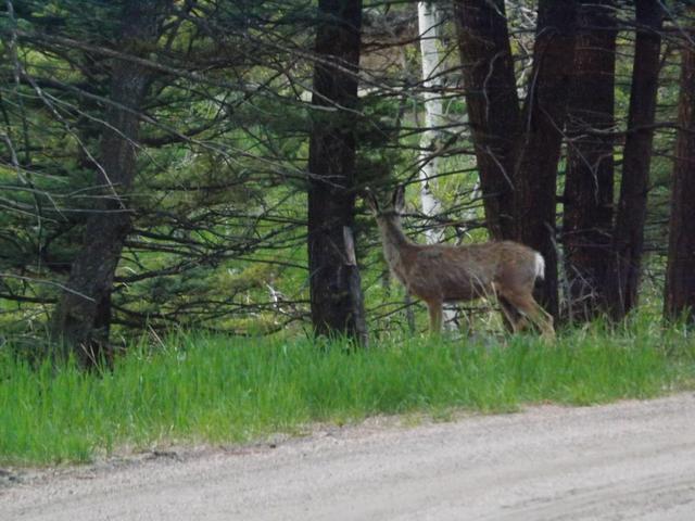 DSCF3186.JPG