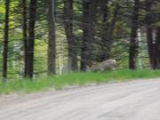 DSCF3187.JPG