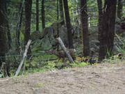 DSCF3189.JPG