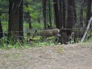 DSCF3192.JPG