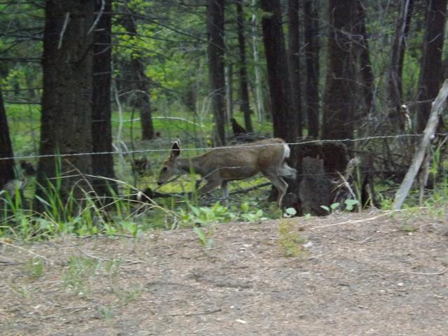 DSCF3192.JPG