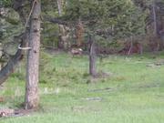 DSCF3207.JPG