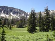 DSCF4034.JPG