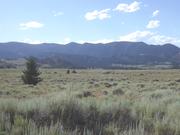 DSCF4060.JPG