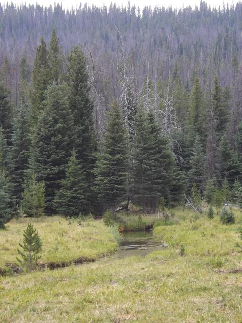 DSCF4078.JPG