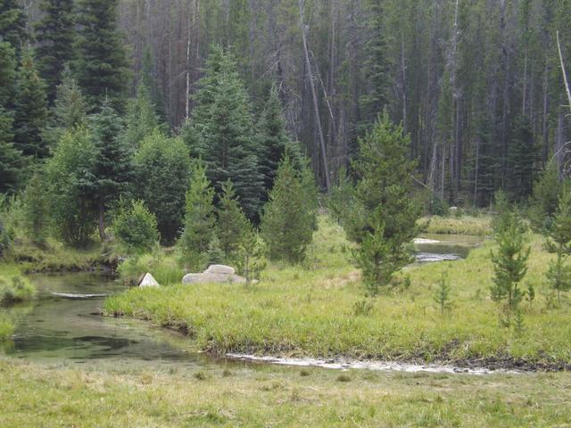 DSCF4079.JPG