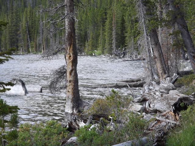 DSCF4149.JPG