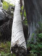 DSCF4150.JPG