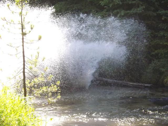 DSCF4162.JPG