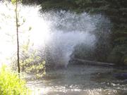 DSCF4162.JPG