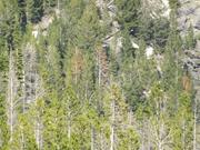 DSCF4170.JPG