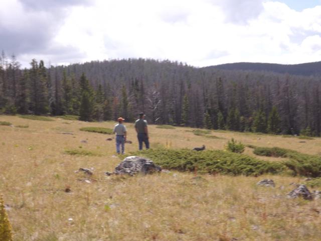 DSCF4200.JPG