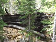 DSCF4212.JPG