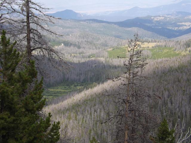 DSCF4221.JPG