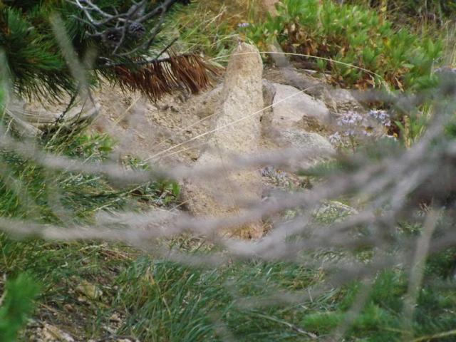 DSCF4223.JPG