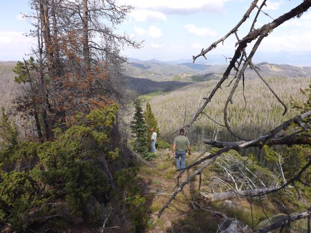 DSCF4224.JPG
