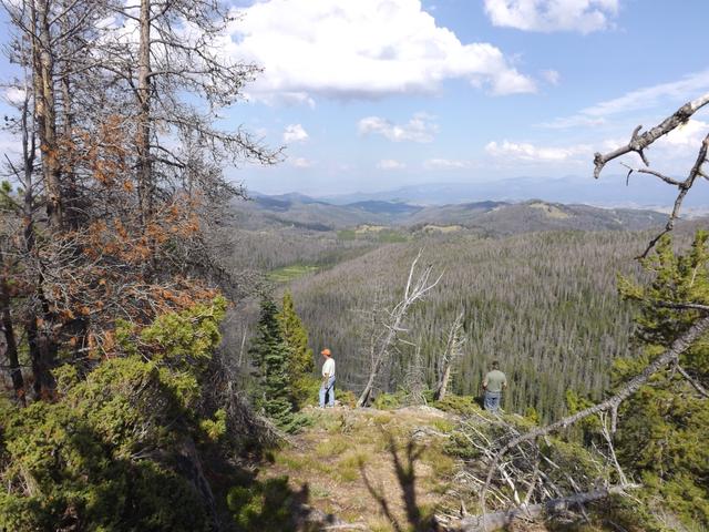 DSCF4225.JPG