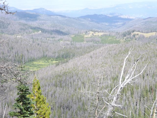 DSCF4226.JPG