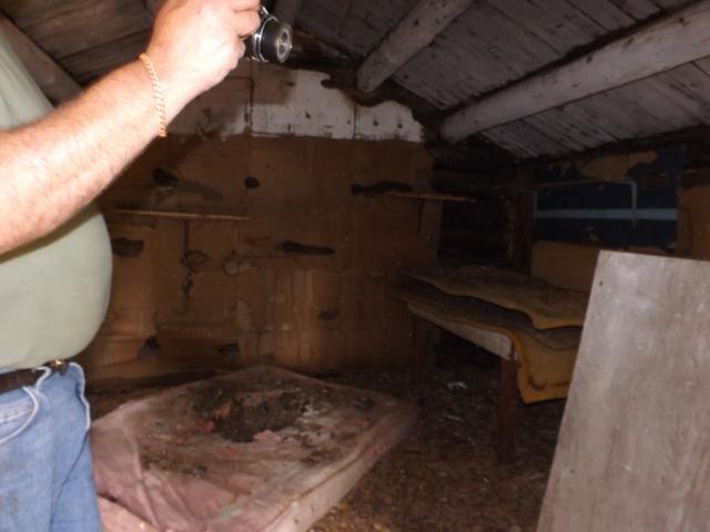 DSCF4232.JPG