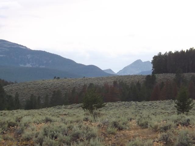 DSCF4276.JPG