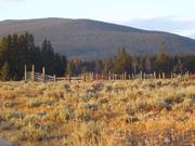 DSCF4281.JPG