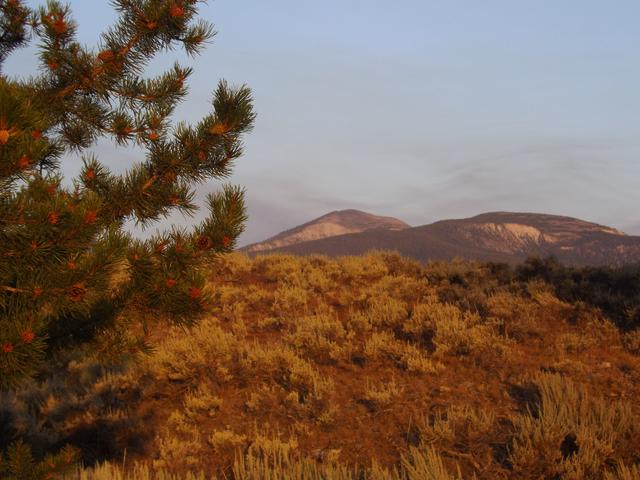 DSCF4283.JPG