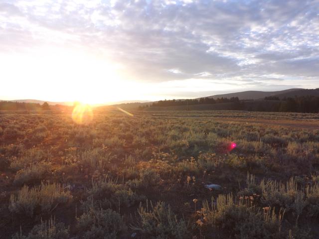 DSCF4285.JPG