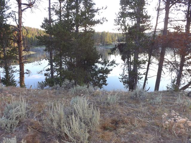 DSCF4291.JPG