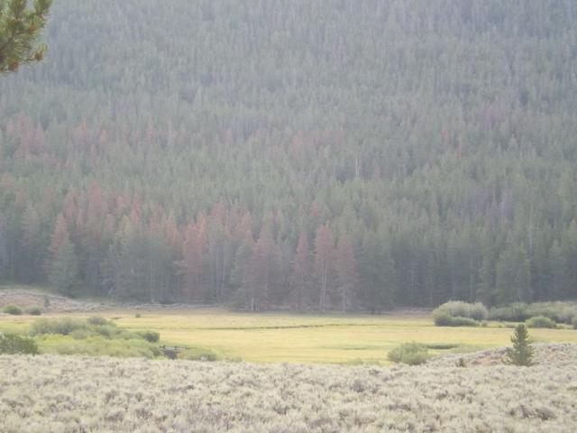 DSCF4299.JPG