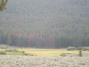 DSCF4299.JPG