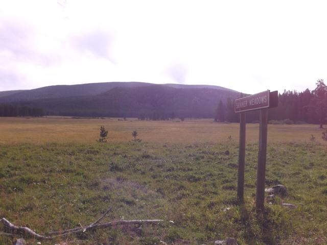 DSCF4303.JPG