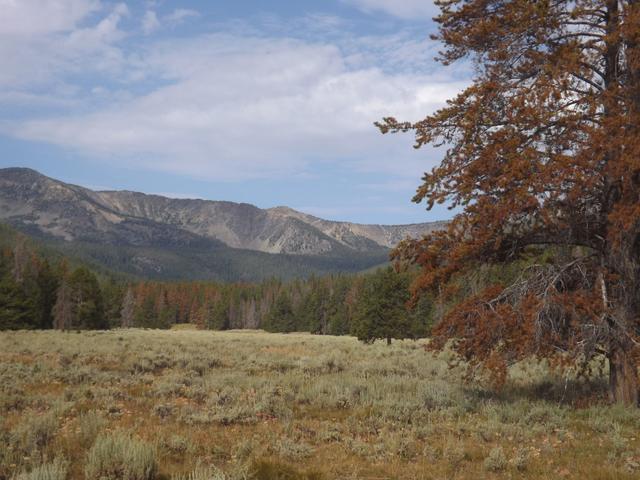DSCF4306.JPG