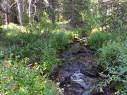 DSCF4311.JPG