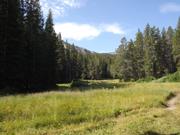 DSCF4312.JPG