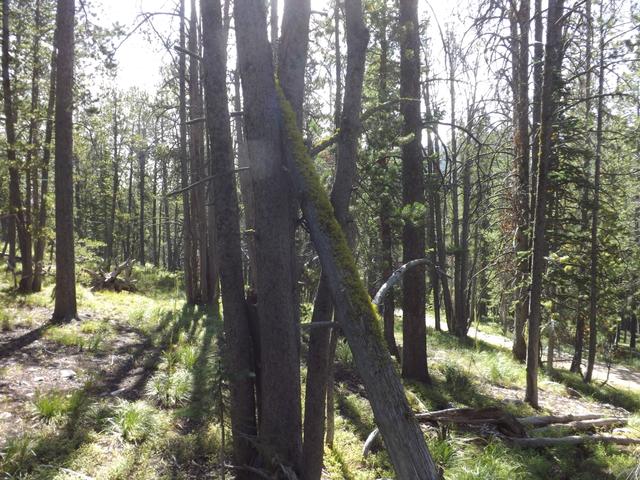DSCF4315.JPG