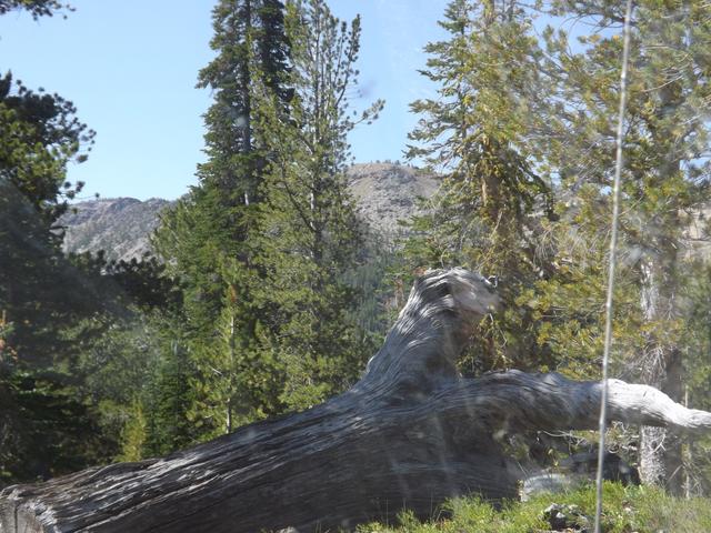 DSCF4336.JPG