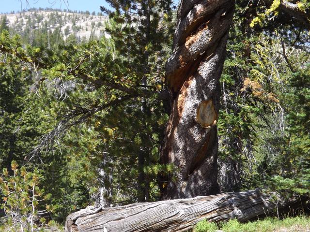 DSCF4337.JPG