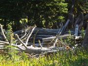 DSCF4348.JPG