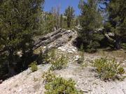 DSCF4373.JPG