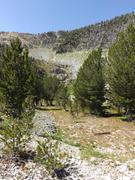 DSCF4374.JPG