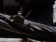 DSCF4381.JPG