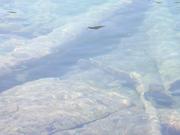 DSCF4389.JPG