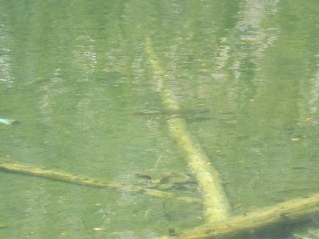 DSCF4405.JPG