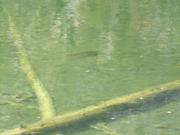 DSCF4406.JPG