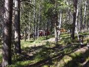 Cow Bone & Dark Horse Lakes Day 1