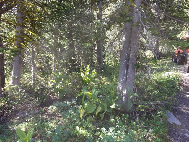 DSCF4327.JPG