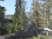 DSCF4336.JPG